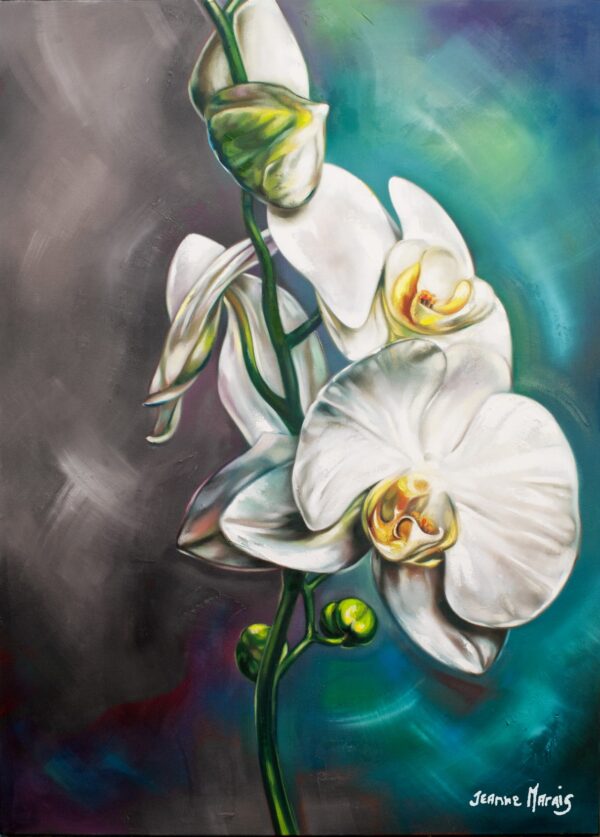 Orchid Grey and Blue - Giclée print of white orchids against a vibrant grey and blue background. The flowers are detailed and luminous, conveying elegance and tranquility