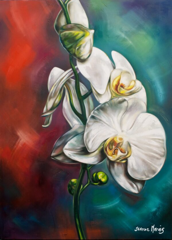 Orchid Red and Blue - Giclée print of white orchids against a vibrant red and blue background. The flowers are detailed and luminous, conveying elegance and tranquility