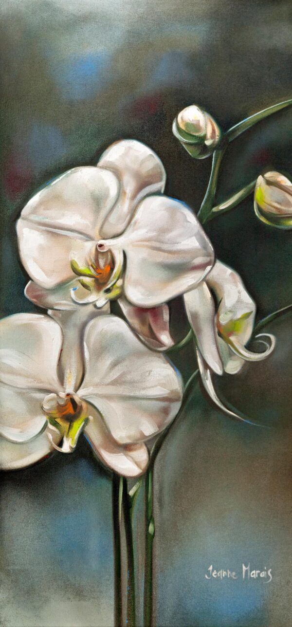 Orchids one - Giclée print of elegant white orchids with green stems, set against a blurred, muted background. The image conveys tranquility and natural beauty