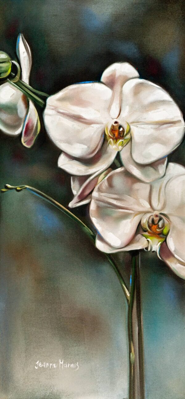 Orchids two - Giclée print of elegant white orchids with green stems, set against a blurred, muted background. The image conveys tranquility and natural beauty