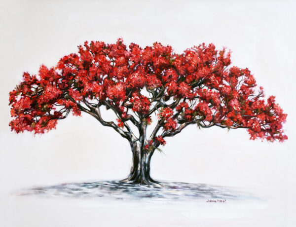 Transvaal Coral - Giclée print of oil painting of a vibrant red coral tree against a soft background. Thick, twisting branches support lush red foliage, creating a sense of warmth and life.